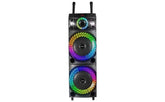 Ailiang A1213k Wireless Bluetooth Karaoke Rgb Speaker System 12" 12v 7a